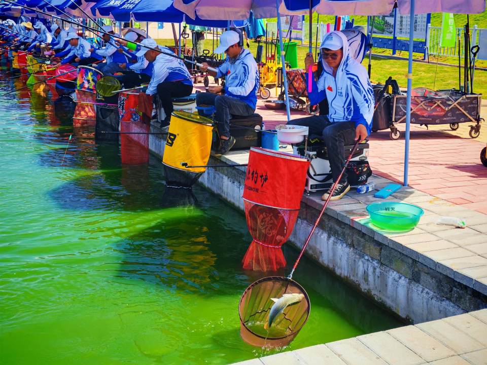 垂钓经济, 主动串联农, 优质的水域 垂钓经济, 主动串联农, 优质的水域