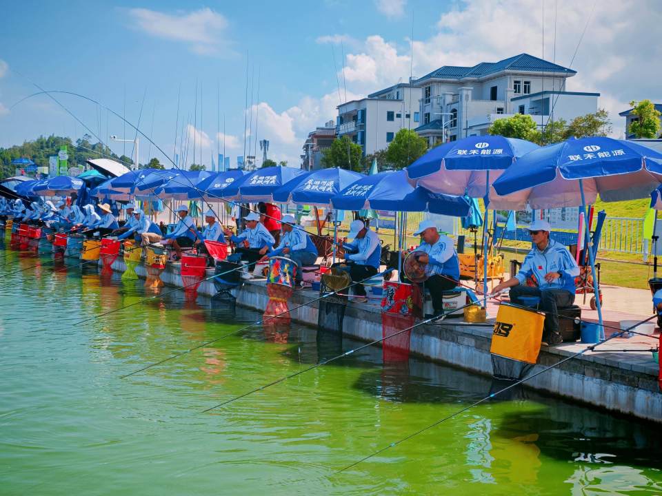 动在河源市, 提供了绝佳, Vpe 动在河源市, 提供了绝佳, Vpe