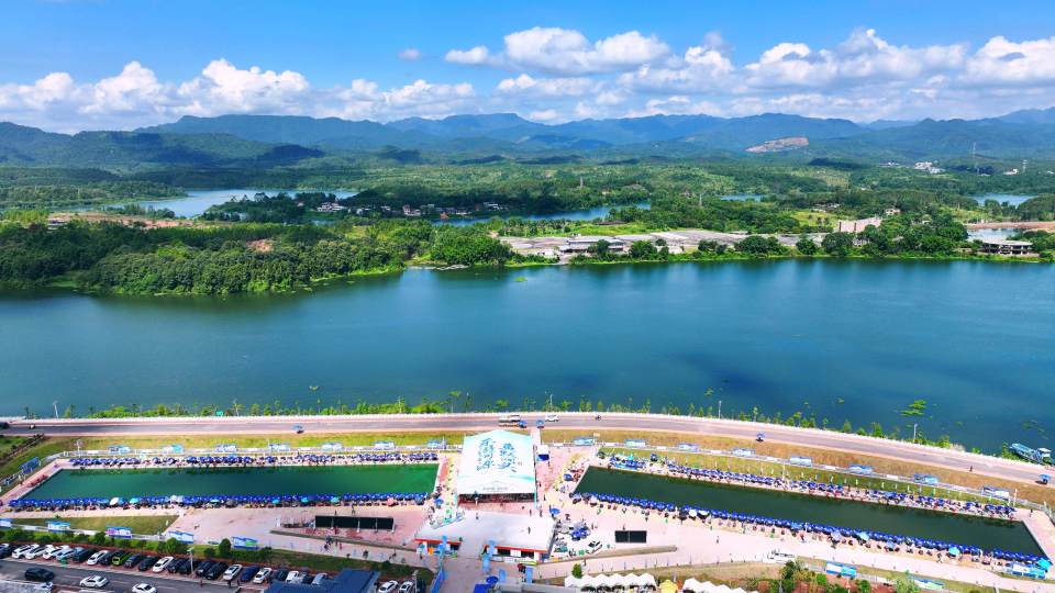 应国家推动, 的显著增长, 量的不断加 应国家推动, 的显著增长, 量的不断加