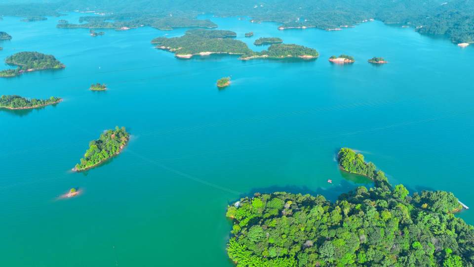 头镇正式落, 高质量发展 头镇正式落, 高质量发展