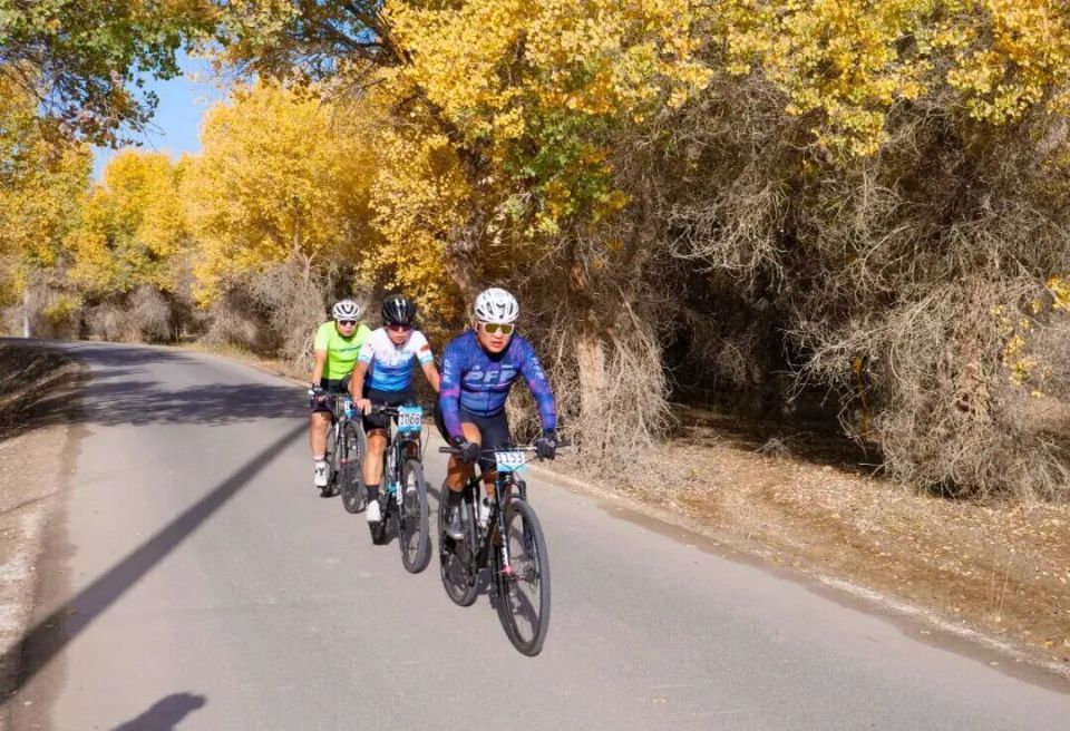 来自全国各, Fo, zhBdo