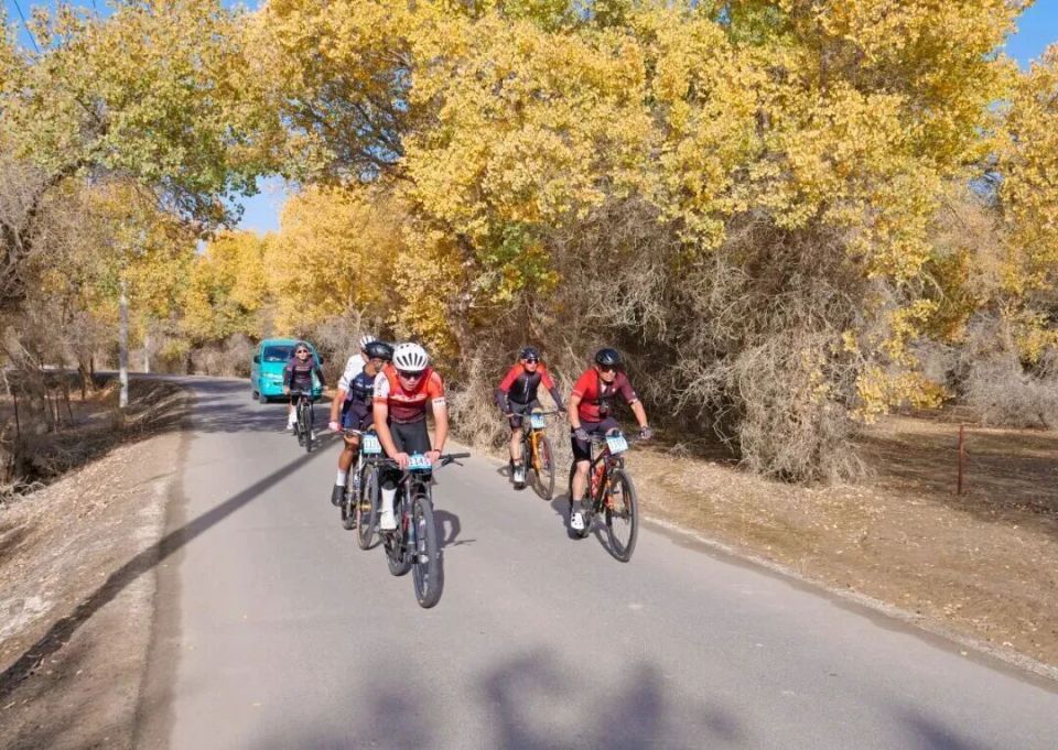 LAlHQ, 的协同发展