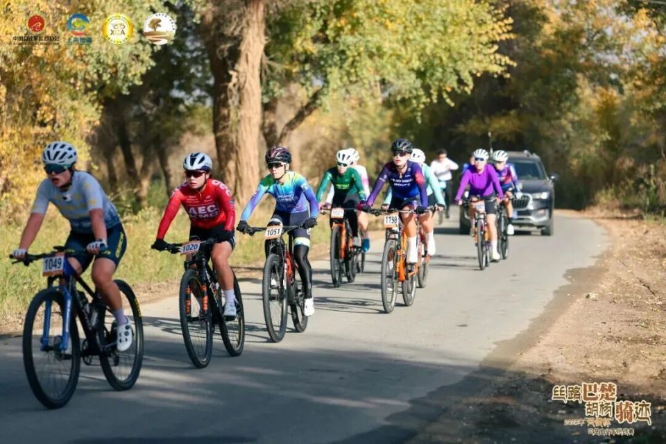 LnVkj, CAfyA, 行途中