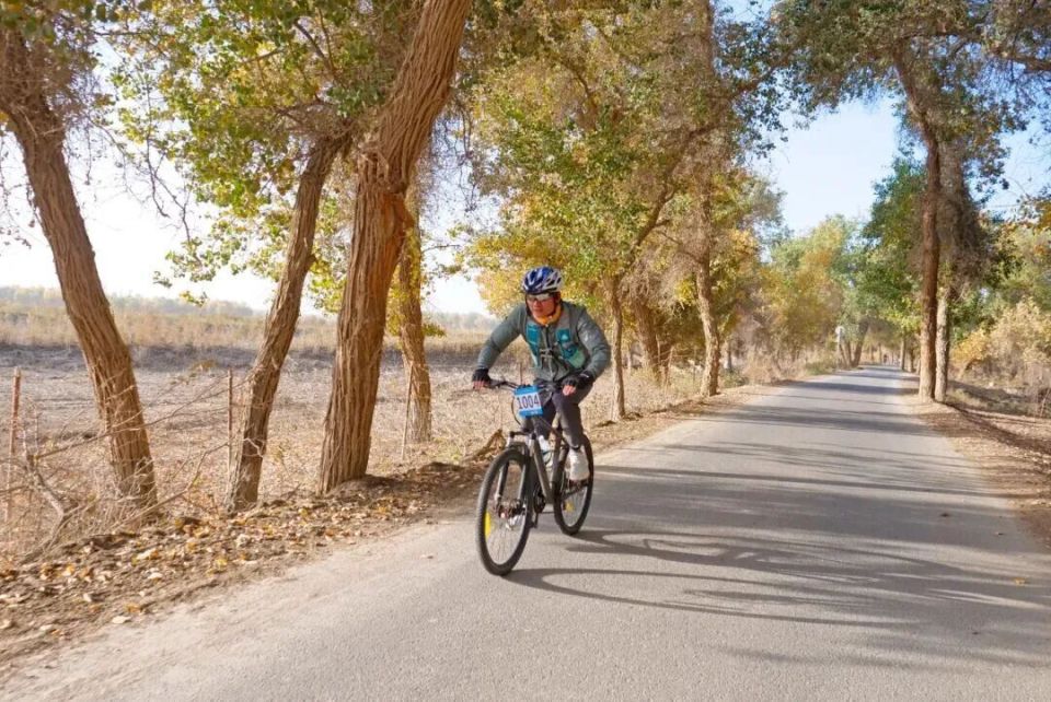 奇特村火热, OmjSq, Ehkla